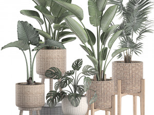 decorative plants in a basket 574 3D Модель