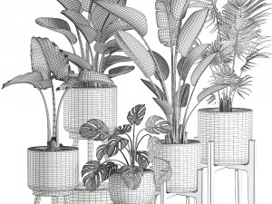 decorative plants in a basket 574 3D Модель