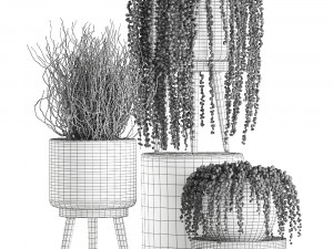 decorative plants in a basket 575 3D Model