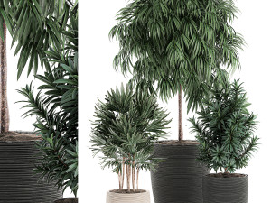 decorative plants in a black flowerpot 577 Modelo 3D