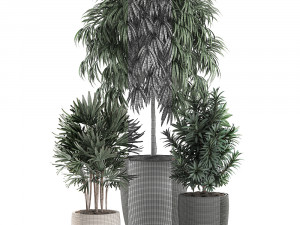 decorative plants in a black flowerpot 577 3D मॉडल