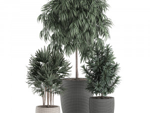 decorative plants in a black flowerpot 577 3D मॉडल