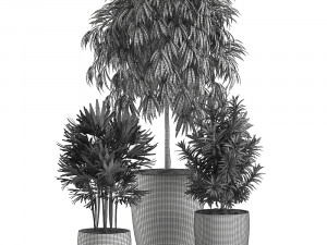 decorative plants in a black flowerpot 577 3D मॉडल