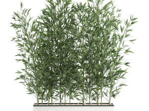 bamboo bush for the interior in a white flowerpot 579 Modelo 3D