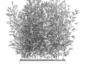bamboo bush for the interior in a white flowerpot 579 3D Model