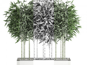 bamboo bush for the interior in a white flowerpot 580 3D 모델