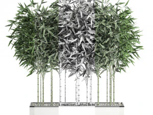 bamboo bush for the interior in a white flowerpot 580 3D Model