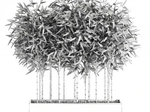 bamboo bush for the interior in a white flowerpot 580 3D Model
