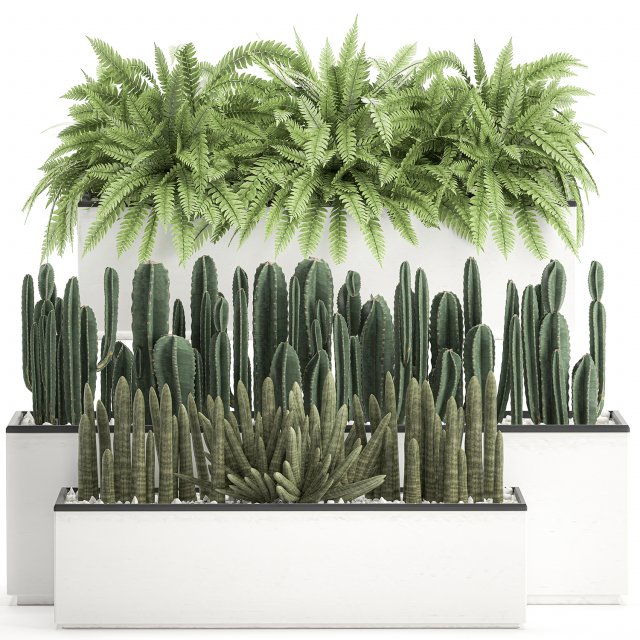 decorative plants for the interior in a white flowerpot 581 Modèle 3D .c4d .max .obj .3ds .fbx .stl .blend 