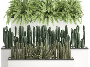 decorative plants for the interior in a white flowerpot 581 Modelo 3D