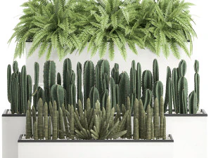 plantas decorativas para el interior en una maceta blanca 581 Modelo 3D