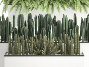 decorative plants for the interior in a white flowerpot 581 Modèle 3D