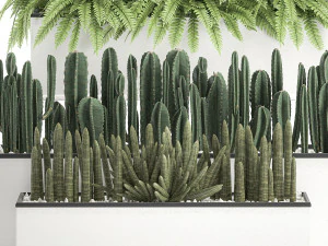 decorative plants for the interior in a white flowerpot 581 3D Model
