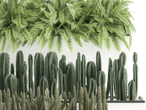 decorative plants for the interior in a white flowerpot 581 Modèle 3D