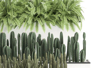 decorative plants for the interior in a white flowerpot 581 3D Model