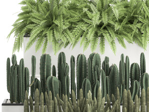decorative plants for the interior in a white flowerpot 581 Modèle 3D
