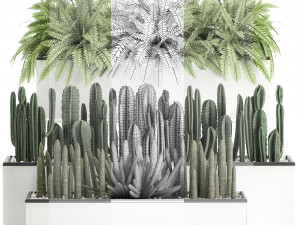 decorative plants for the interior in a white flowerpot 581 Modèle 3D