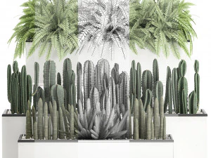 decorative plants for the interior in a white flowerpot 581 3D Model