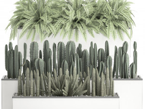 decorative plants for the interior in a white flowerpot 581 Modèle 3D