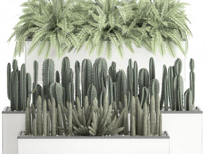 decorative plants for the interior in a white flowerpot 581 3D Model