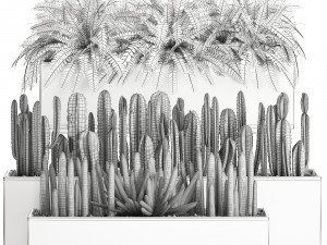 decorative plants for the interior in a white flowerpot 581 Modèle 3D