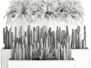 decorative plants for the interior in a white flowerpot 581 3D Model