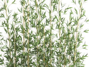 bamboo bush for the interior in a black flowerpot 583 Modelo 3D