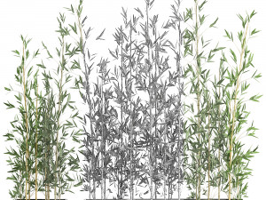 bamboo bush for the interior in a black flowerpot 583 Modelo 3D