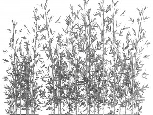 bamboo bush for the interior in a black flowerpot 583 Modelo 3D