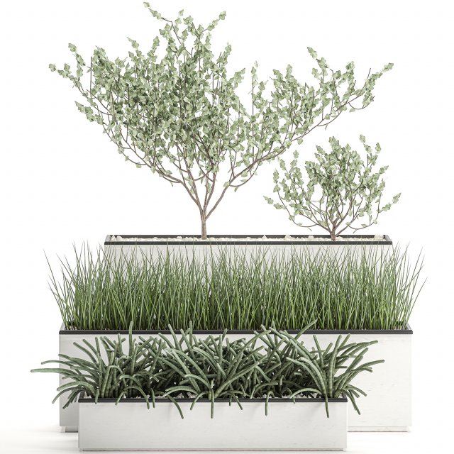 decorative plants for the interior in a white flowerpot 585 Model 3D .c4d .max .obj .3ds .fbx .stl .blend