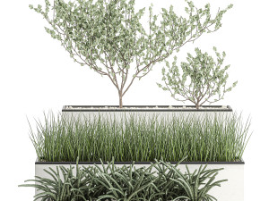 decorative plants for the interior in a white flowerpot 585 3D Model