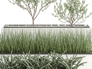 decorative plants for the interior in a white flowerpot 585 Model 3D
