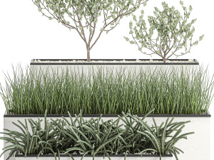 decorative plants for the interior in a white flowerpot 585 Model 3D