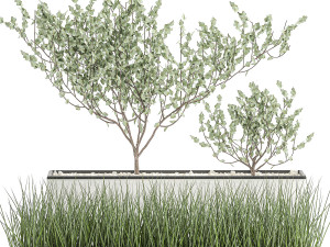 decorative plants for the interior in a white flowerpot 585 Model 3D
