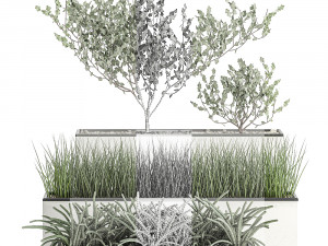 decorative plants for the interior in a white flowerpot 585 Model 3D