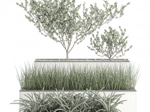 decorative plants for the interior in a white flowerpot 585 Model 3D