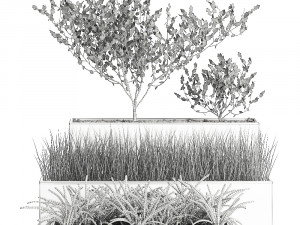 decorative plants for the interior in a white flowerpot 585 Model 3D