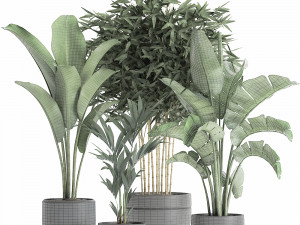 decorative plants for the interior in a black flowerpot 586 3D 모델