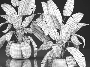 decorative banana palms in a basket for the interior 589 3D Model