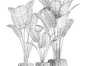 decorative banana palms in classic flowerpot for the interior 593 3Dモデル