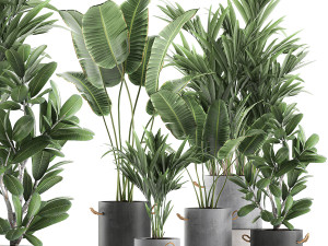 plants in flower pots for the interior 595 3D Model