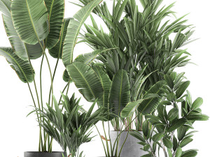 plants in flower pots for the interior 595 3D मॉडल