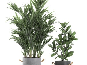 plants in flower pots for the interior 595 3D मॉडल
