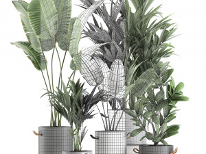 plants in flower pots for the interior 595 3D मॉडल