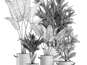 plants in flower pots for the interior 595 3D मॉडल