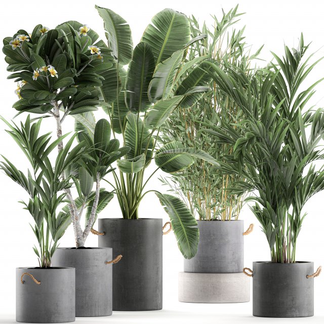 plants in pots of concrete for the interior 596 3D 模型 .c4d .max .obj .3ds .fbx .stl .blend