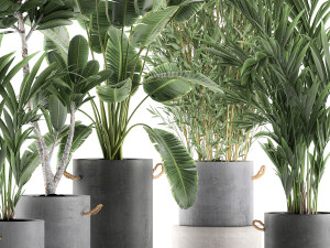 plants in pots of concrete for the interior 596 3D 模型