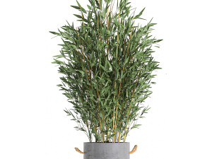 plants in pots of concrete for the interior 596 3D 模型
