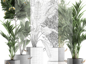 plants in pots of concrete for the interior 596 3D 模型