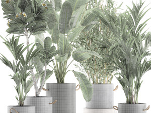 plants in pots of concrete for the interior 596 3D 模型